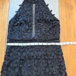 Bardot  Kara Lace Halter Midi Dress Backless Party Sheath Sheer Gemma LBD Size 6 Photo 12