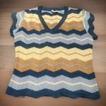 The Red Eye Vintage Sleeveless Vest Sweater Blue Women’s Small Photo 0
