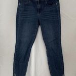 J.Jill Denim Authentic Fit Slim Ankle Jeans Size 8 Photo 0