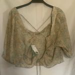 H&M Criss Cross Crop Top (NWT) Photo 2