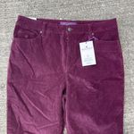 Gloria Vanderbilt  Amanda Purple Corduroy Pants Plum 14 Short NWT Photo 1