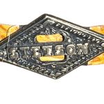 Stetson  rodeo dr. Collection Stylish Tan Cowgirl Hat Photo 2