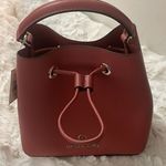 Michael Kors Michael womens crossbody leather cinnamon drawstring bucket bag NWT Photo 0