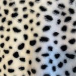 City Streets Eilly Bazar Faux Fur Jacket Women M Leopard Print White Black Plush Fashion Boho Photo 3