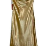 Birdy Grey  Women's Lisa Sleeveless Cowl Neck Satin Maxi Dress Gold Size Med NWT Photo 0