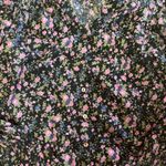 Free People Meant To Be Ditsy Floral Coastal Cowgirl Western Cottagecore Top M Photo 4