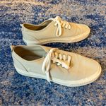 Everlane the Forever Sneaker in Sycamore Photo 4