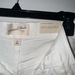 Universal Threads Universal Thread Shorts Jean Photo 1