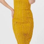 Bardot  Corset Lace Midi Dress Mustard Yellow Size 8 Medium Photo 0