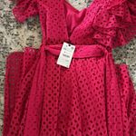 ZARA NWT  embroidered eyelet dress Photo 5