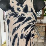 Young Fabulous & Broke midi tie Photo 1