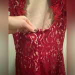 Alya Red Fit and Flare Lace Dress Photo 4