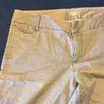 Caslon  Women's Khaki Bermuda Shorts / DG70 Photo 1