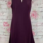 Carlisle New York sleeveless purple a line dress with zippers on pleats of hemli Photo 1