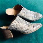 LC Lauren Conrad Snake print mules on comfy mid heels ๐ผ๐ผ Photo 0