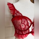 For Love & Lemons VS π Size M Rouge Red Bustier Corset Lace Lingerie Photo 4