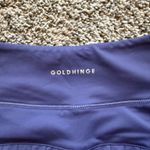 Gold Hinge  Skirt Photo 3