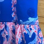 Lilly Pulitzer  Luxletic Fern Skort Borealis Blue Swim On Over large EUC Photo 5