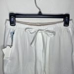 Aritzia Babaton Japanese Fabric Sergio drapey Bermuda shorts in Espace size S Photo 2