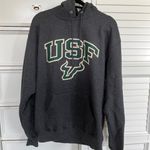 Champion USF  Sweatshirt Photo 0