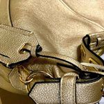 REED MODERN AMERICAN LUXURY GOLD HOBO BAG Photo 3