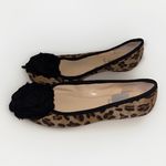 Enzo Angiolini  Women's Cheetah Print‎ Flats Size 8.5 Black Bow Canvas Classic Photo 1