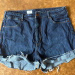Pilcro Anthro  denim shorts Sz 34 Photo 0