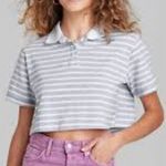 Wild Fable  Striped Boxy Cropped Polo Tee Grey/White NWT Rugby Photo 1