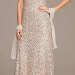 Alex Evenings  High Neck Sequin Fit and‎ Flare Dress with Shawl size 12 Champagne Photo 0