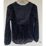 Organza Paris Black Sheer Velvet Burnout Floral Peasant Blouse Whimsigoth Small Photo 5