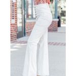 Pink Lily Plus Button Fly Bright White Super Flare Stretchy Pants Size 17 Photo 2