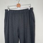 Eileen Fisher Womens Charcoal Gray Tencel Pull On Waist Pants Med Photo 2