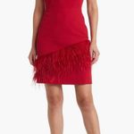 Sam Edelman Feather hem sheath Red Wine Dress NWT $158 Valentines Woman size 8 Photo 1