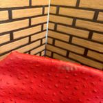 Dooney & Bourke Red Ostrich Liliana Tote Photo 7