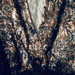 ASTR  The Label Yvette Sequin‎ Print Bodysuit NWT Large Photo 6