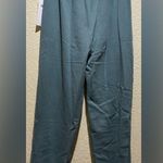 Alo Yoga NWT Alo Accolade Sweatpants Joggers Size L Limited Edition Color Teal Agate Photo 3
