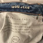 American Eagle Super Distressed Mom Jean Photo 6