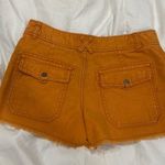 Free People Burnt orange  Shorts Photo 1