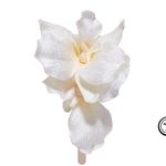 Lele Sadoughi Bridal Headband Photo 13