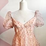 Cider Pink‎ Floral Babydoll Cupcake Dress Coquette Fairycore Kawaii Medium Homecoming Photo 1