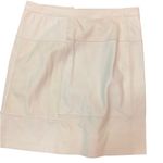 Premise Skirt Photo 1