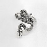 Snake Ring Silver Photo 1