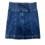 Free People  Femme Denim Corset Mini Skirt Photo 1