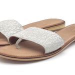 Seychelles  Smooth Operator Dress Flat Sandal in White Crackle Leather Size 7.5 Photo 5