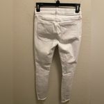 Pistola  Audrey Crop Mid Rise Skinny Jean Photo 8