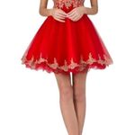 May Queen Red tulle fit & flare Dress Photo 0