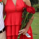 Impeccable Pig Dress Photo 2