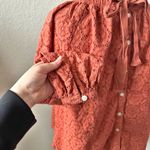 Roller Rabbit  Eyelet Blouse Top in Terra Photo 7