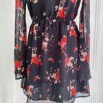 Forever 21 Sheer Floral Dress Photo 6