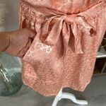 Joie nwt //  daran island sunset leopard satin mini dress Photo 9